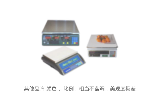 其他品牌電子秤 其他品牌電子秤