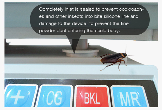 youshi5_en youshi5_en