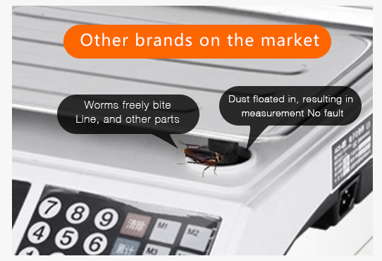 youshi6_en youshi6_en